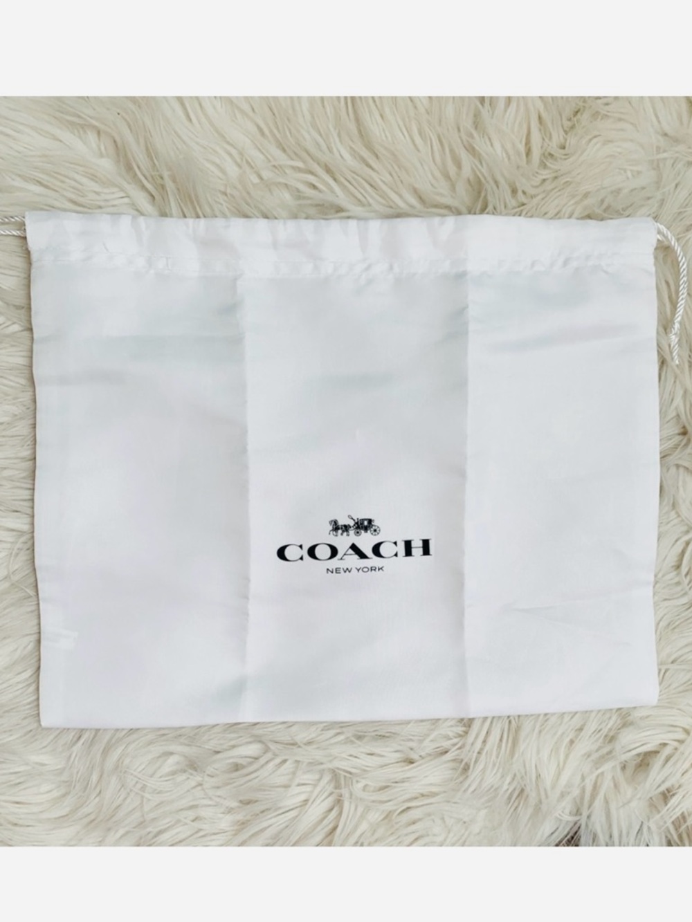 Coach White Storage Bag